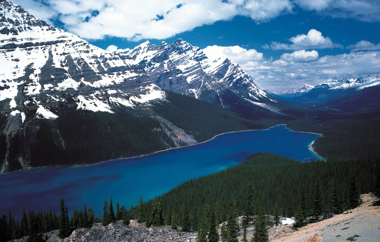 Photo wallpaper forest, the sky, clouds, snow, mountains, lake, slope