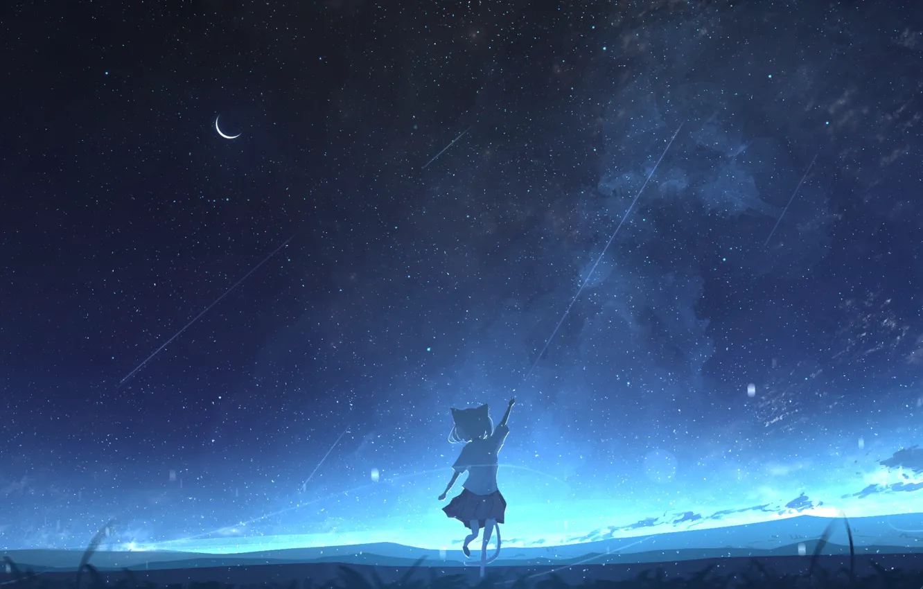 Photo wallpaper cat, the sky, night, girl, shooting stars