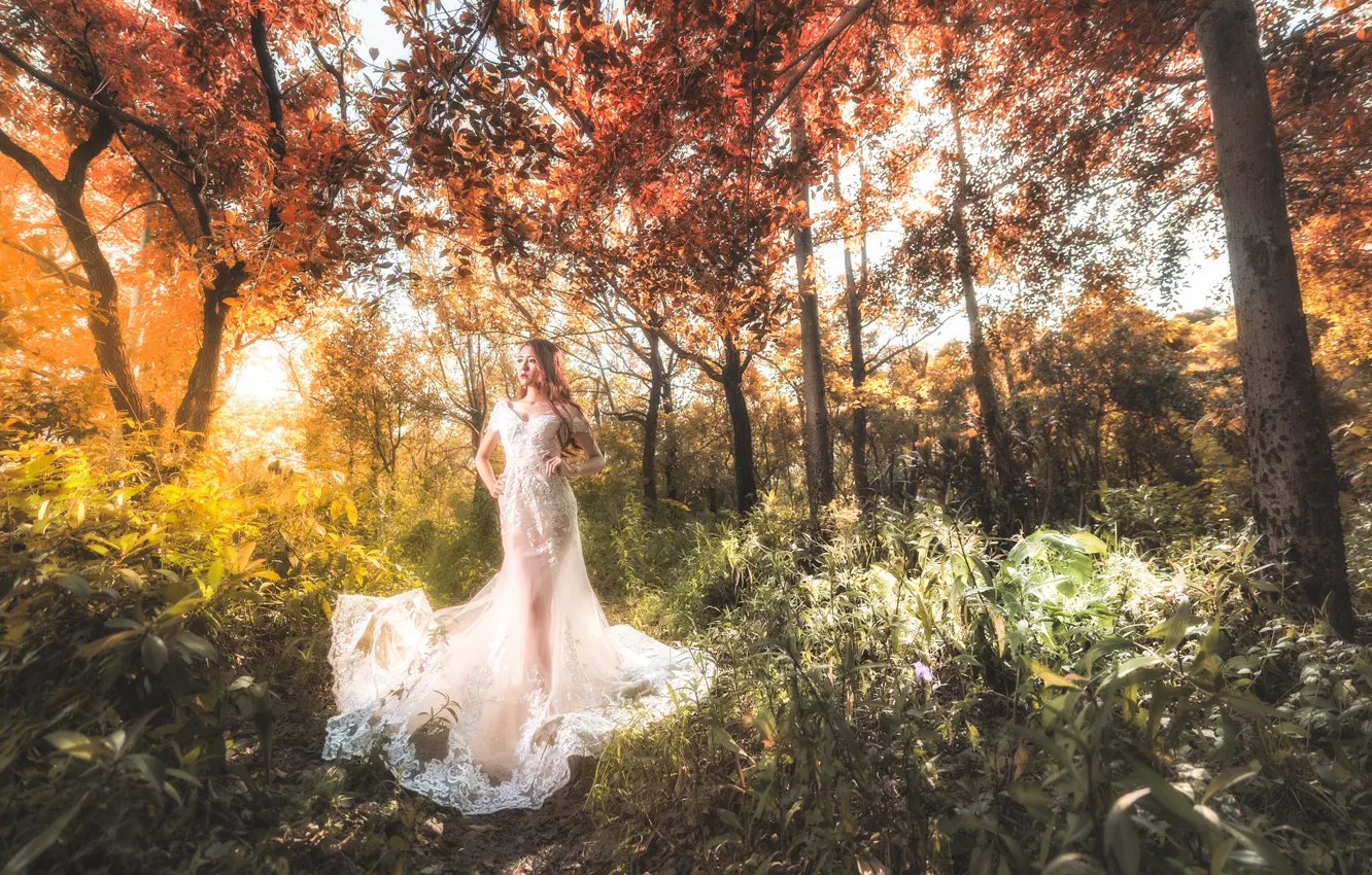 Photo wallpaper forest, girl, style, dress, walk, Asian