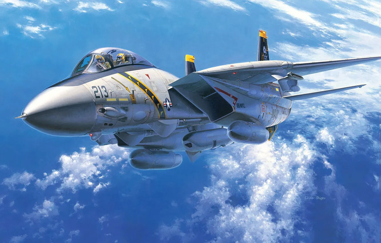 Photo wallpaper USA, Deck, fighter-interceptor, multi-role fighter, Grumman F-14 Tomcat, US NAVY, Koike Shigeo, F-14A Tomcat (US …