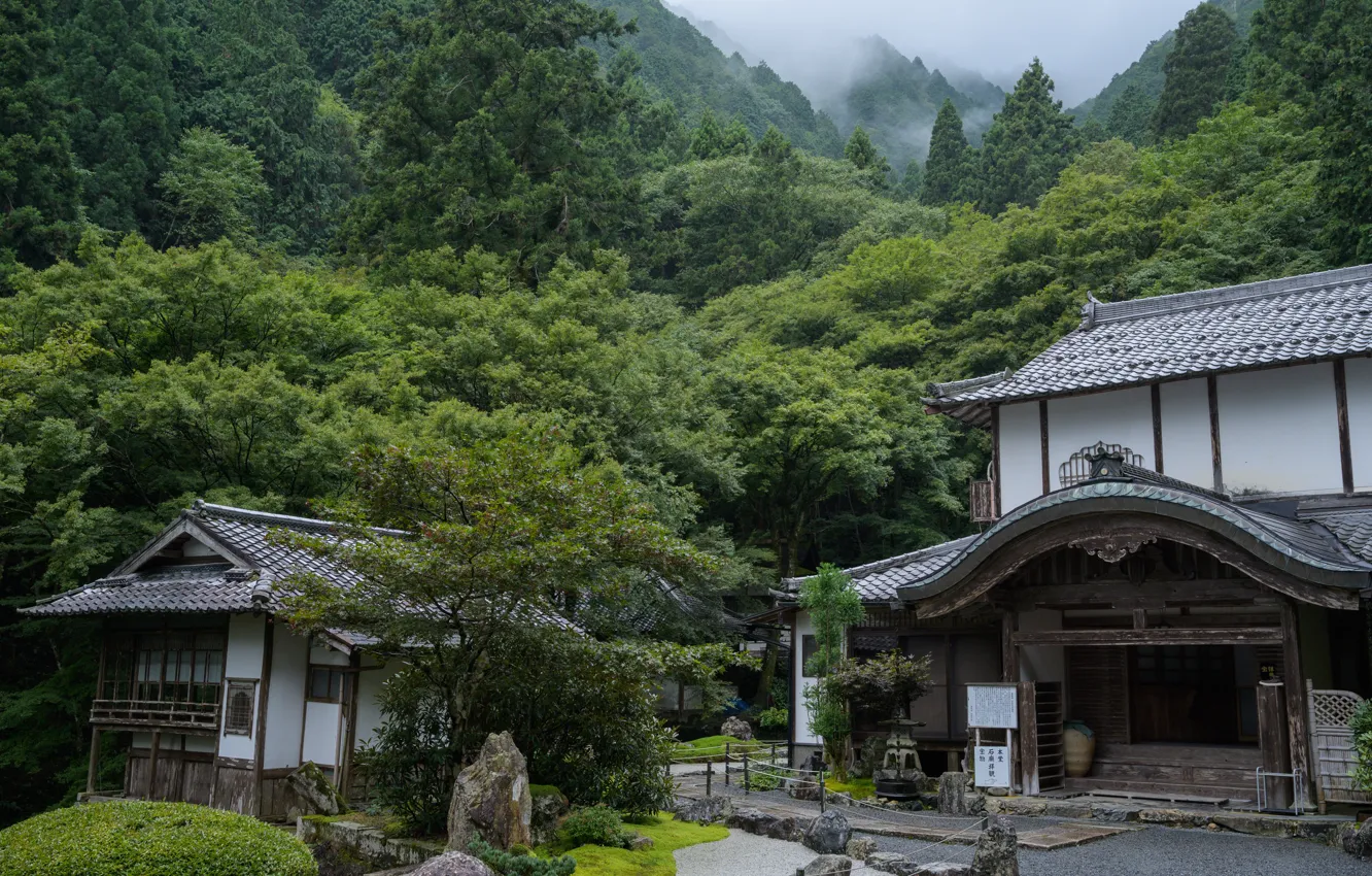 Photo wallpaper forest, mountains, nature, Japan, garden, temple