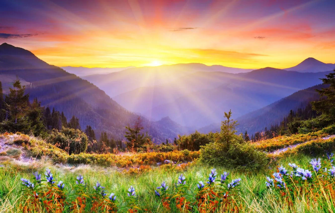 Photo wallpaper #nature, #beauty, #scenery