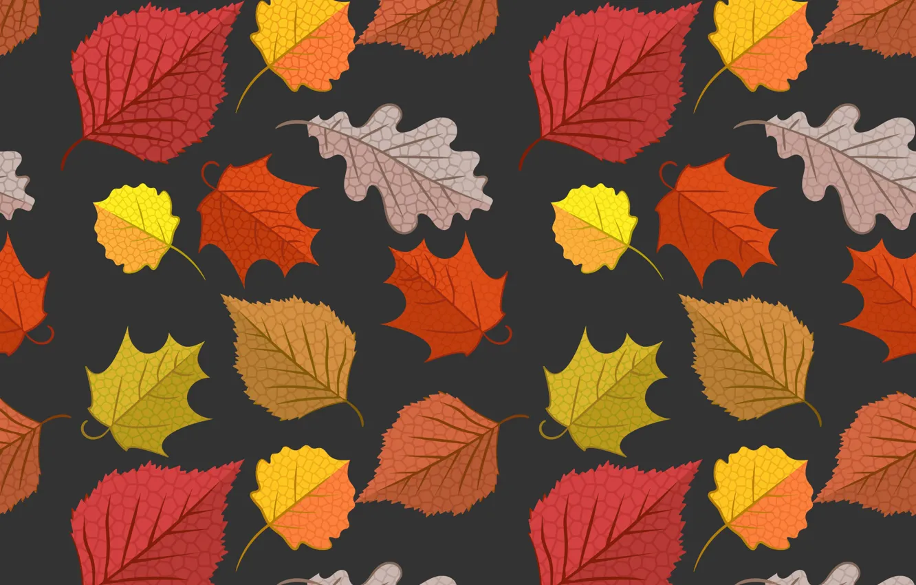Photo wallpaper autumn, leaves, background, colorful, background, autumn, pattern, leaves