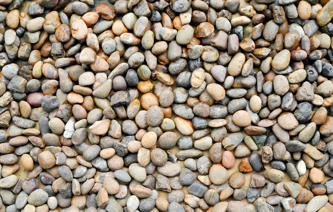 Photo wallpaper beach, pebbles, stones, background, beach, texture, marine, sea