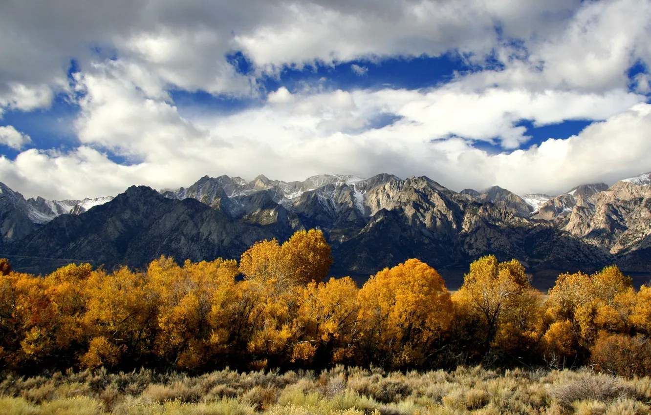 Photo wallpaper autumn, trees, landscape, nature