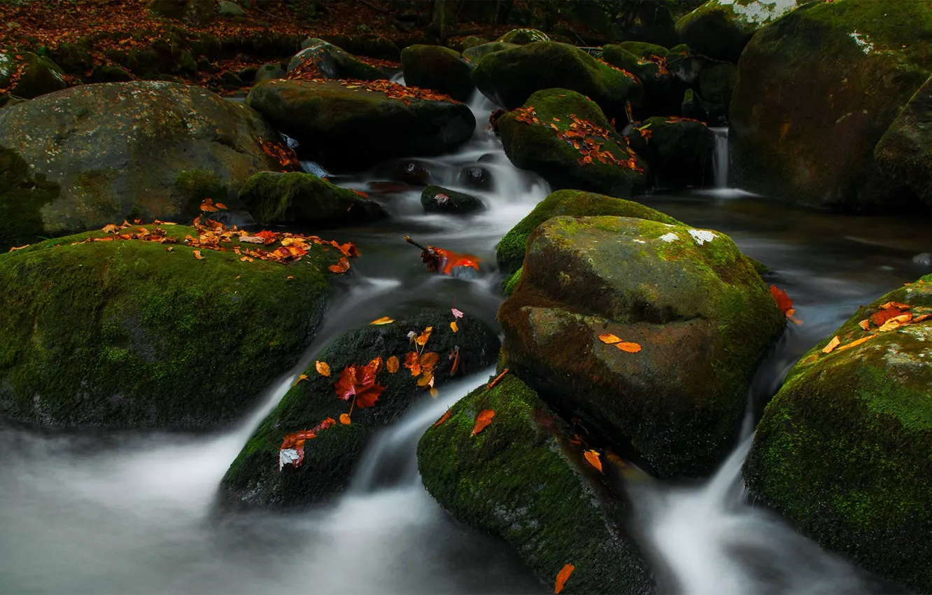 Photo wallpaper Roaring Fork, Tn, stream, Great Smoky Mountains National Park, autumn, stones, USA