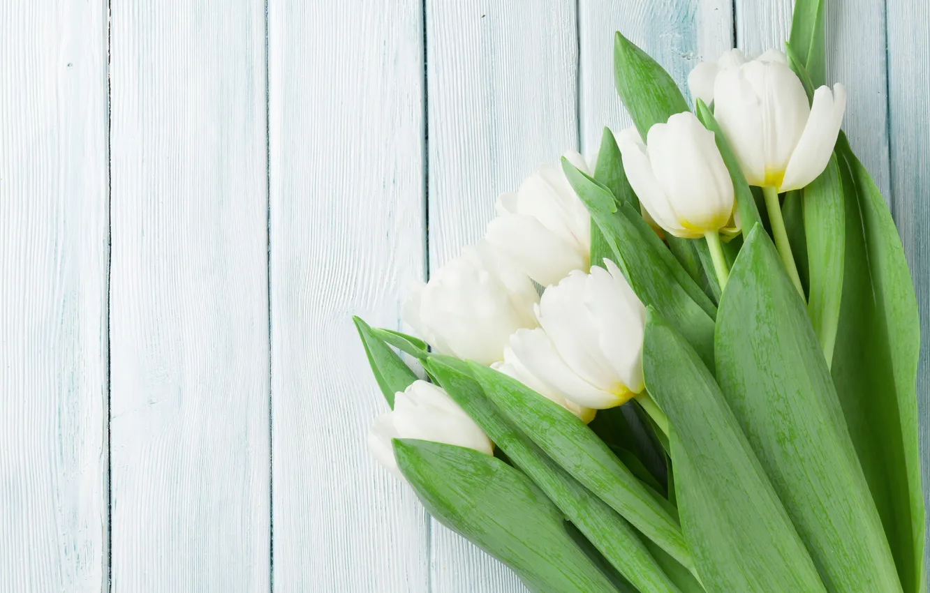 Photo wallpaper flowers, bouquet, tulips, white, wood, flowers, tulips, spring