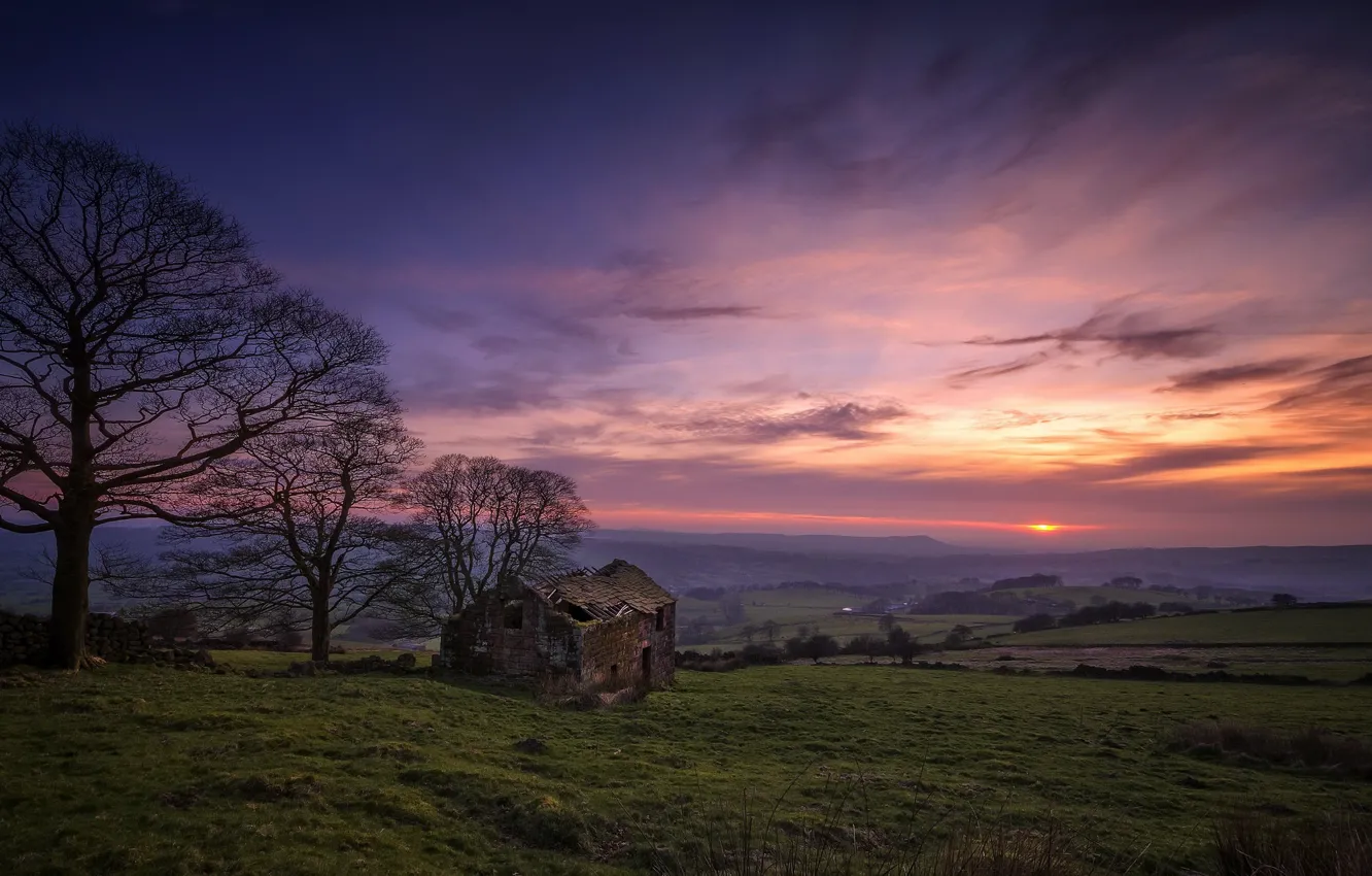 Photo wallpaper field, sunset, home