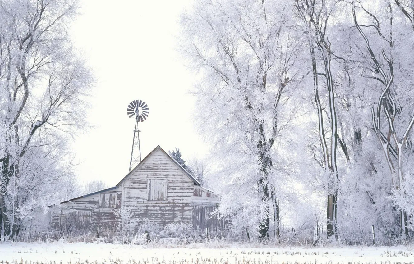 Photo wallpaper winter, snow, trees, the barn