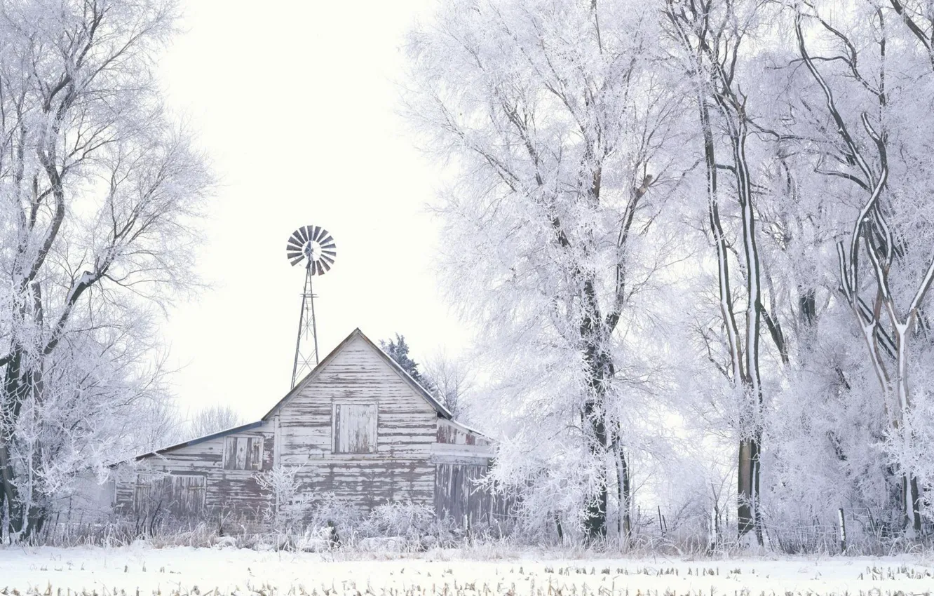 Photo wallpaper trees, Winter, Snow, the barn