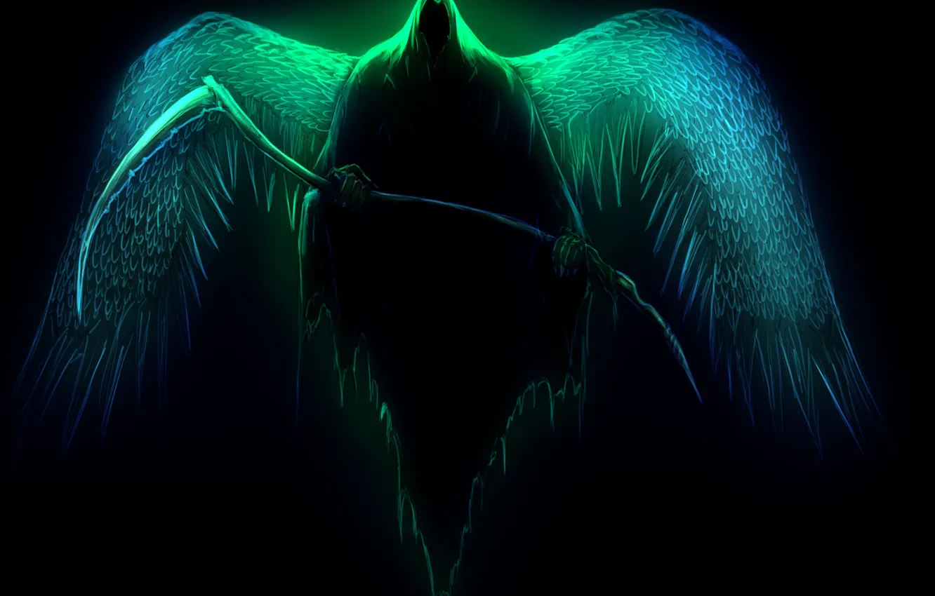 Photo wallpaper death, fiction, wings, art, braid, black background