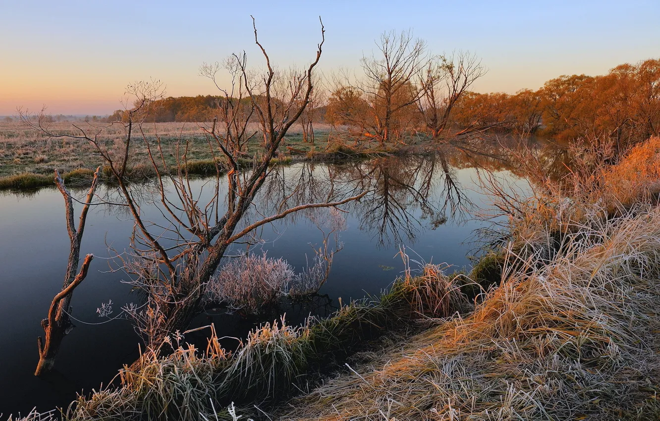 Photo wallpaper frost, grass, landscape, sunset, river