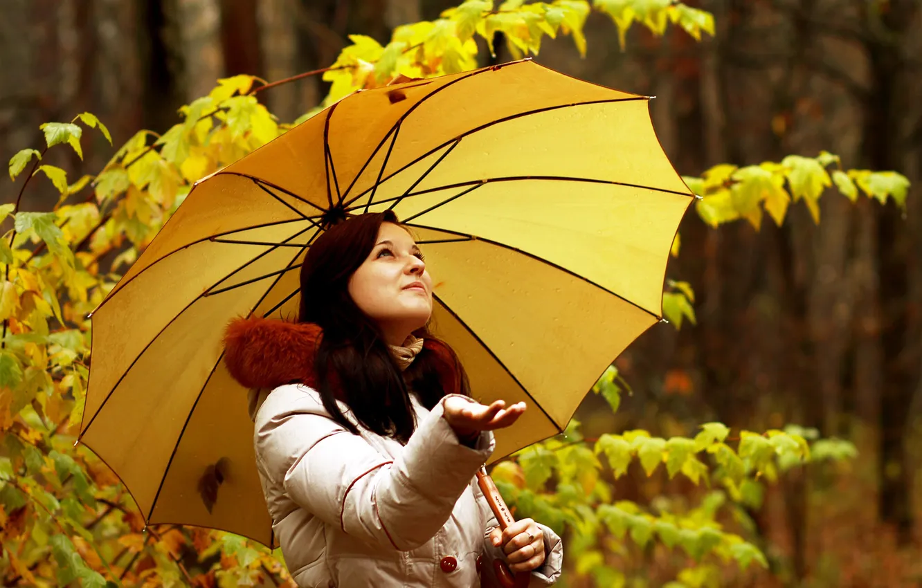 Photo wallpaper autumn, forest, yellow, foliage, umbrella, jacket, collar, brown hair