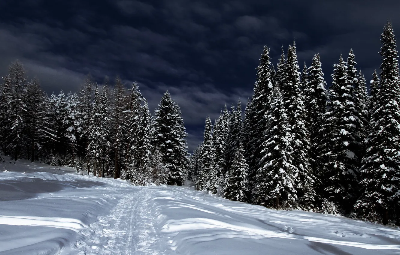 Photo wallpaper winter, snow, landscape