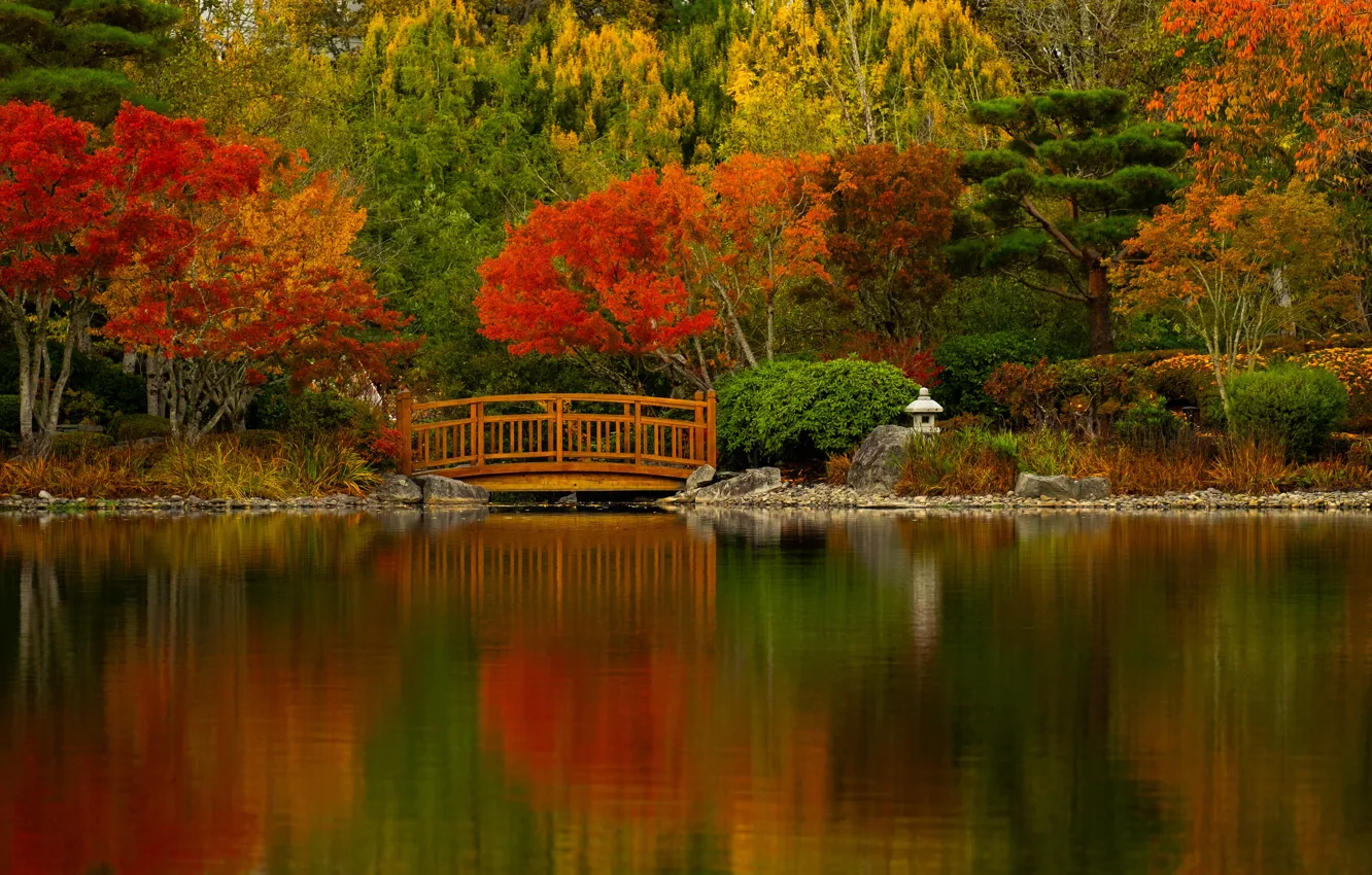 Photo wallpaper autumn, trees, bridge, lake, pond, Oregon, Oregon, pond