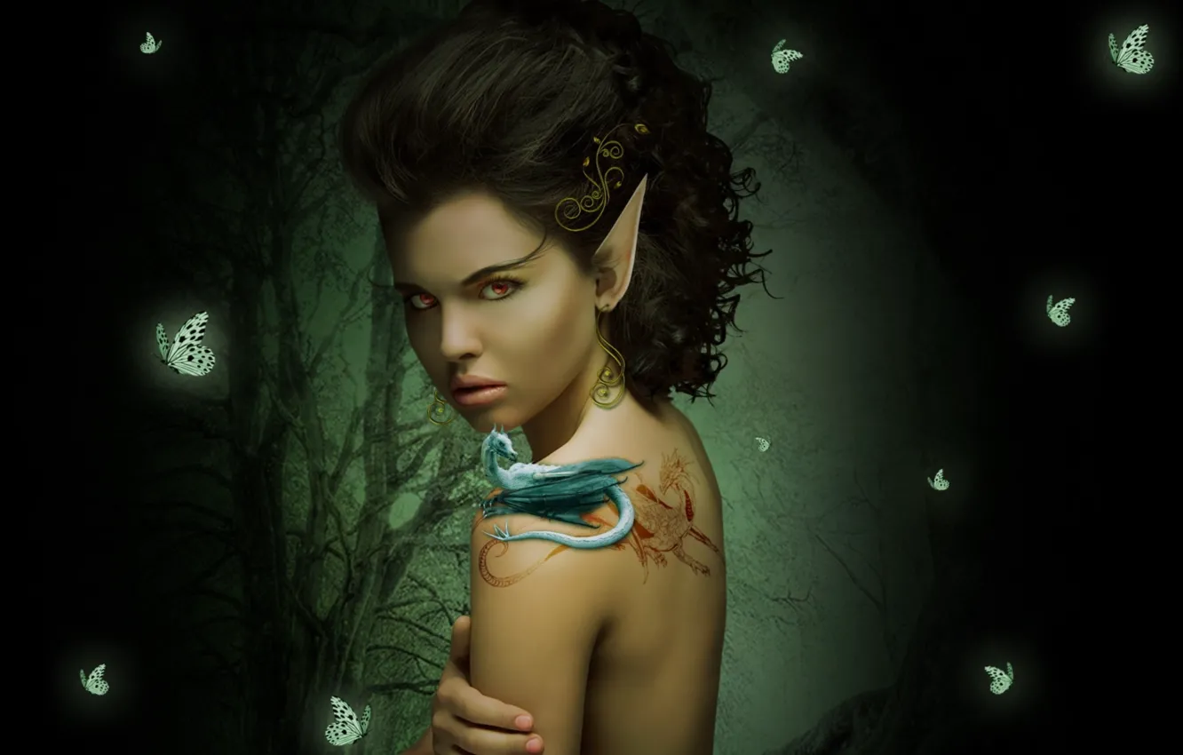 Photo wallpaper look, girl, night, elf