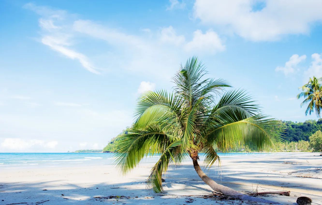 Photo wallpaper sand, sea, wave, beach, summer, the sky, palm trees, shore