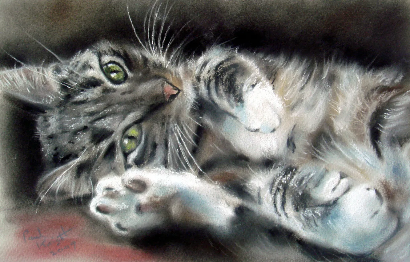 Photo wallpaper cat, mustache, look, animal, legs, muzzle, ears, painting