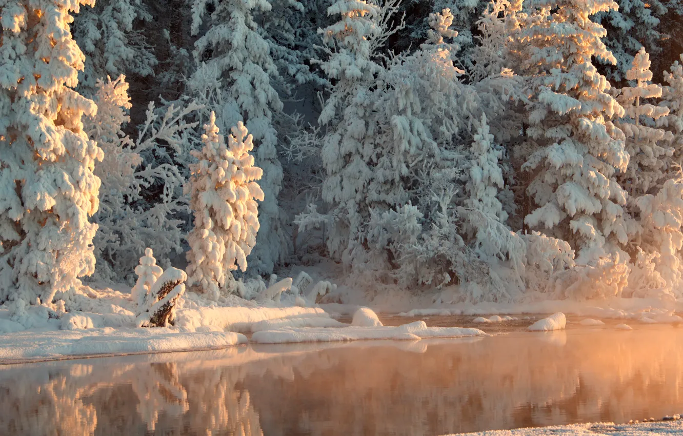 Photo wallpaper winter, forest, water, snow, trees, reflection, river, Sunny