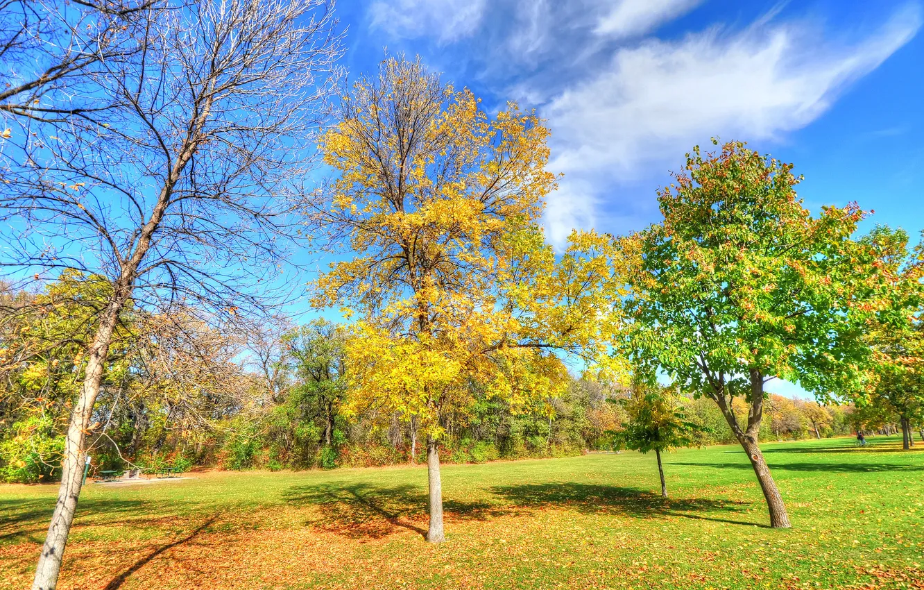 Photo wallpaper autumn, the sky, grass, clouds, trees, Park