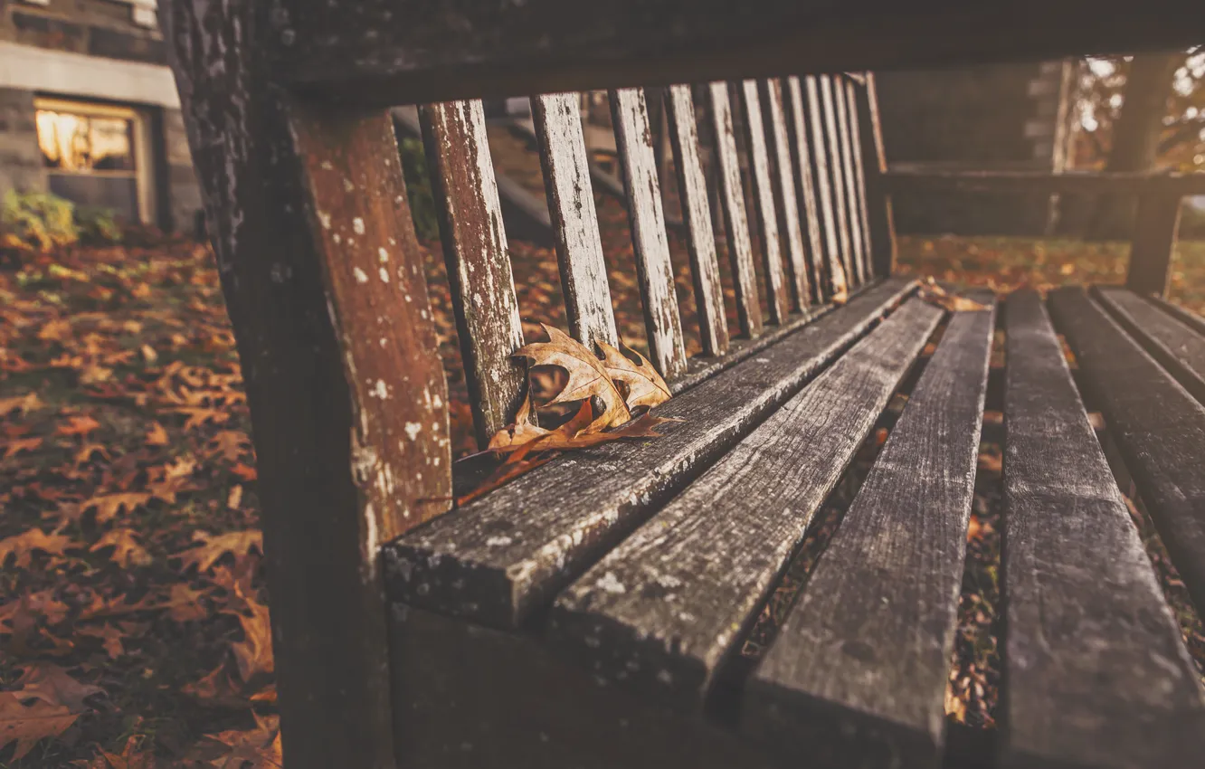 Photo wallpaper autumn, leaves, bench, the city, Park, foliage, shop