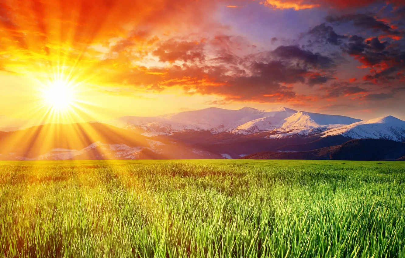 Photo wallpaper the sky, the sun, clouds, mountains, green, meadow, beautiful, snowy