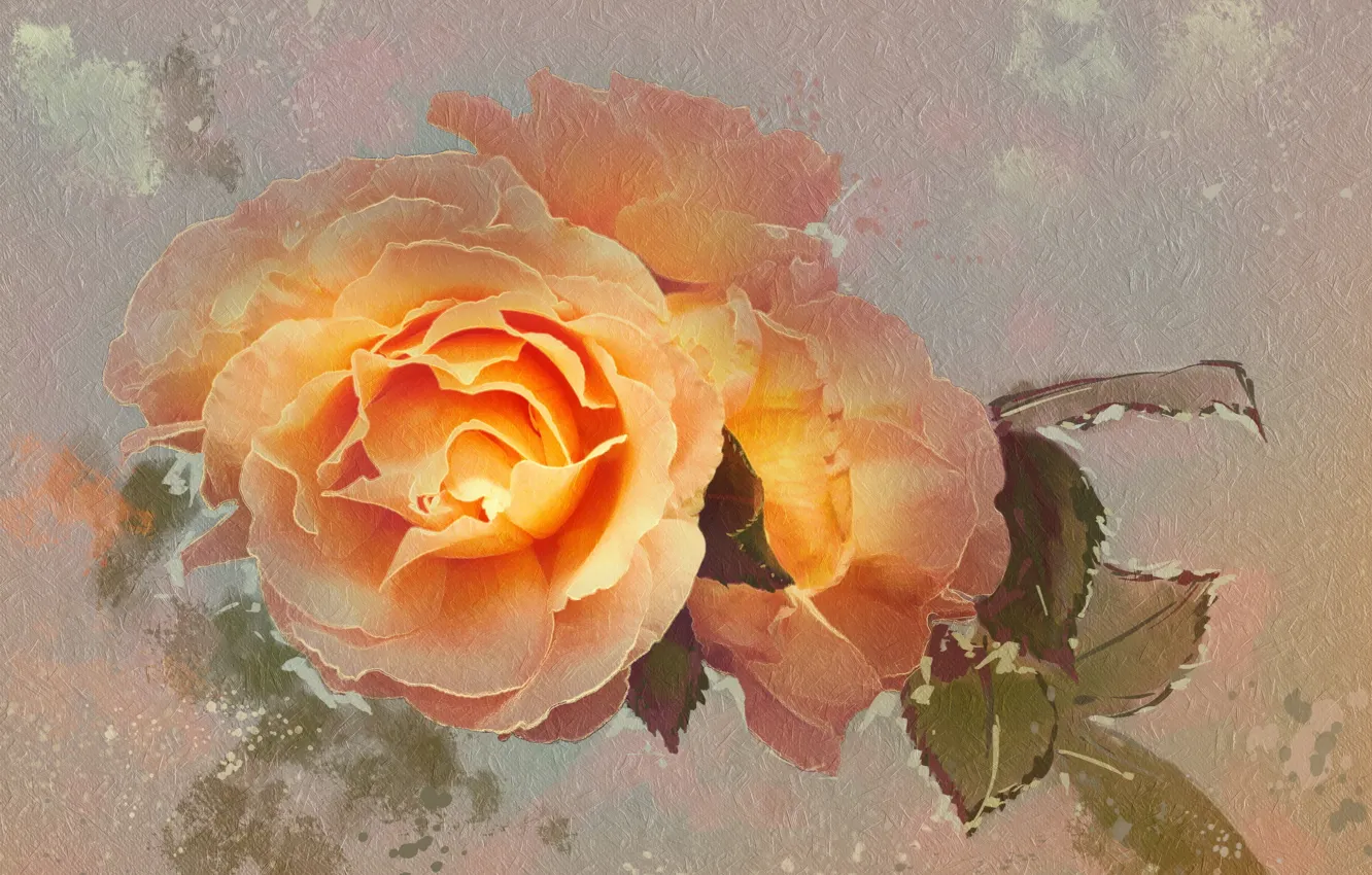 Photo wallpaper flowers, roses, texture
