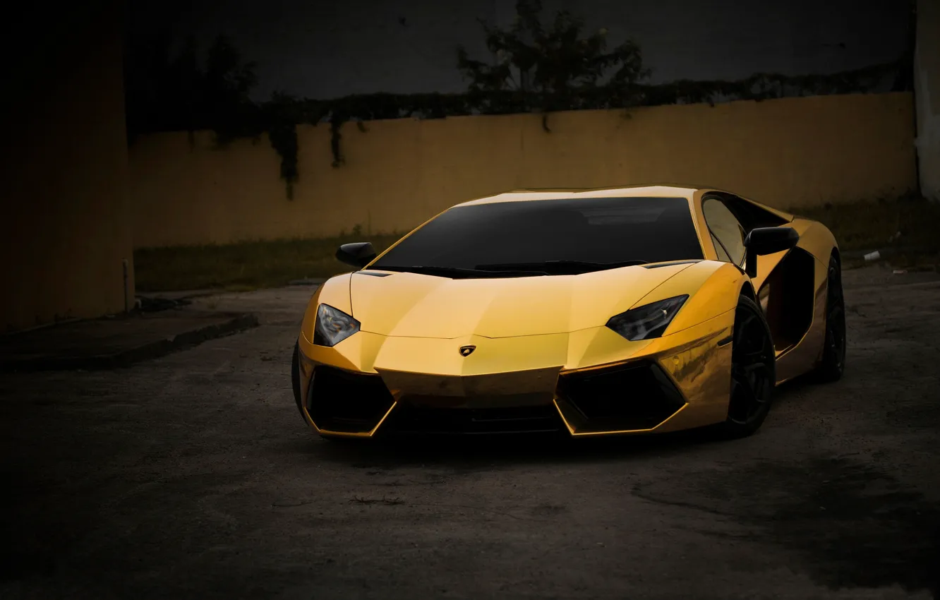Photo wallpaper Auto, Night, Lamborghini, Tuning, Machine, Gold, Aventador, Gold