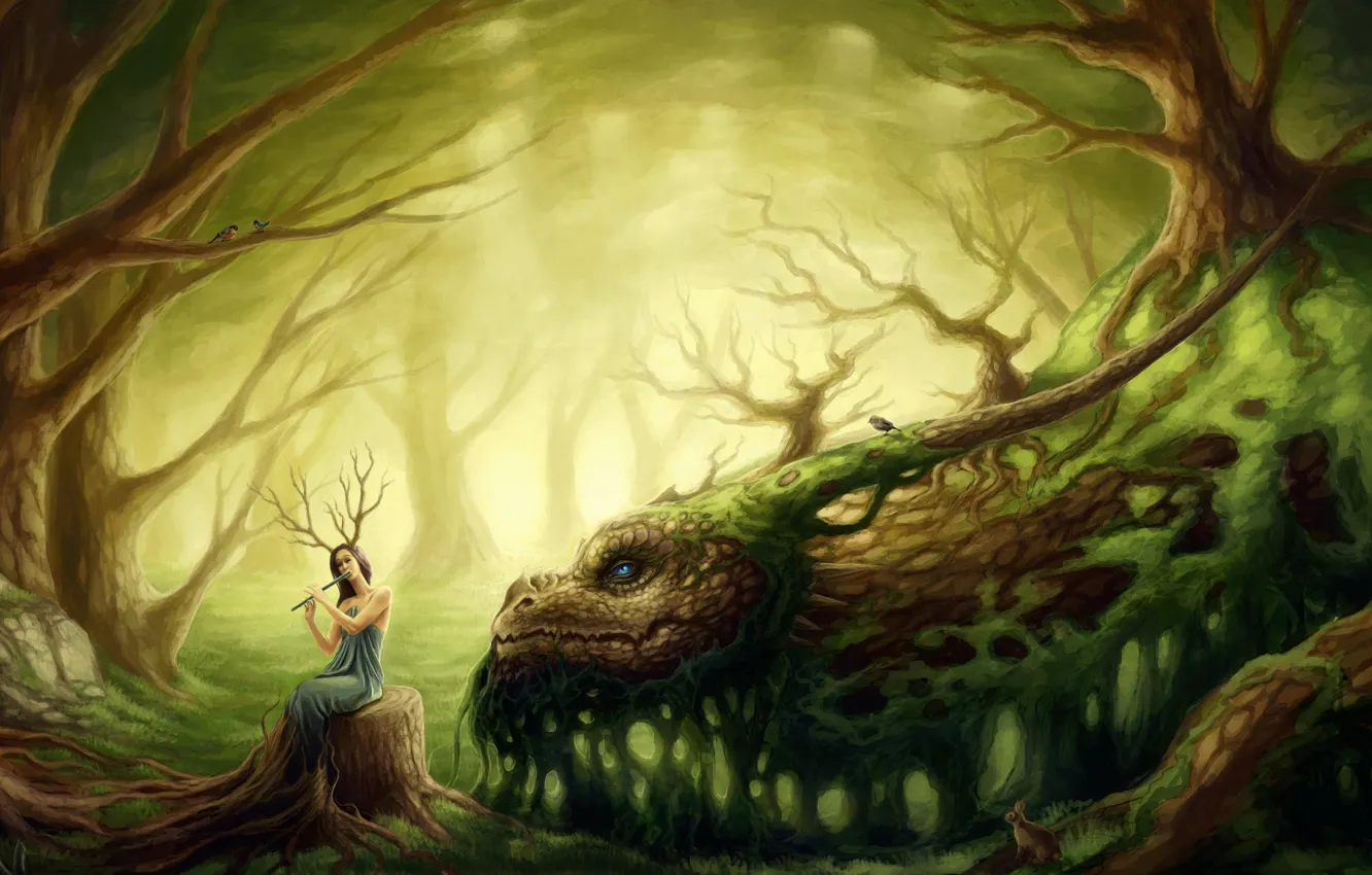 Photo wallpaper forest, girl, dragon, druid, forest