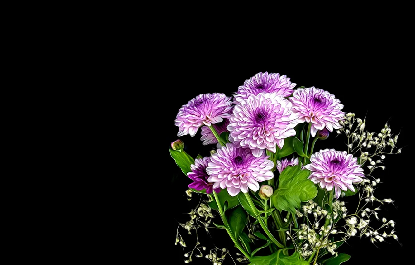 Photo wallpaper flowers, rendering, black background, bouquet of chrysanthemums