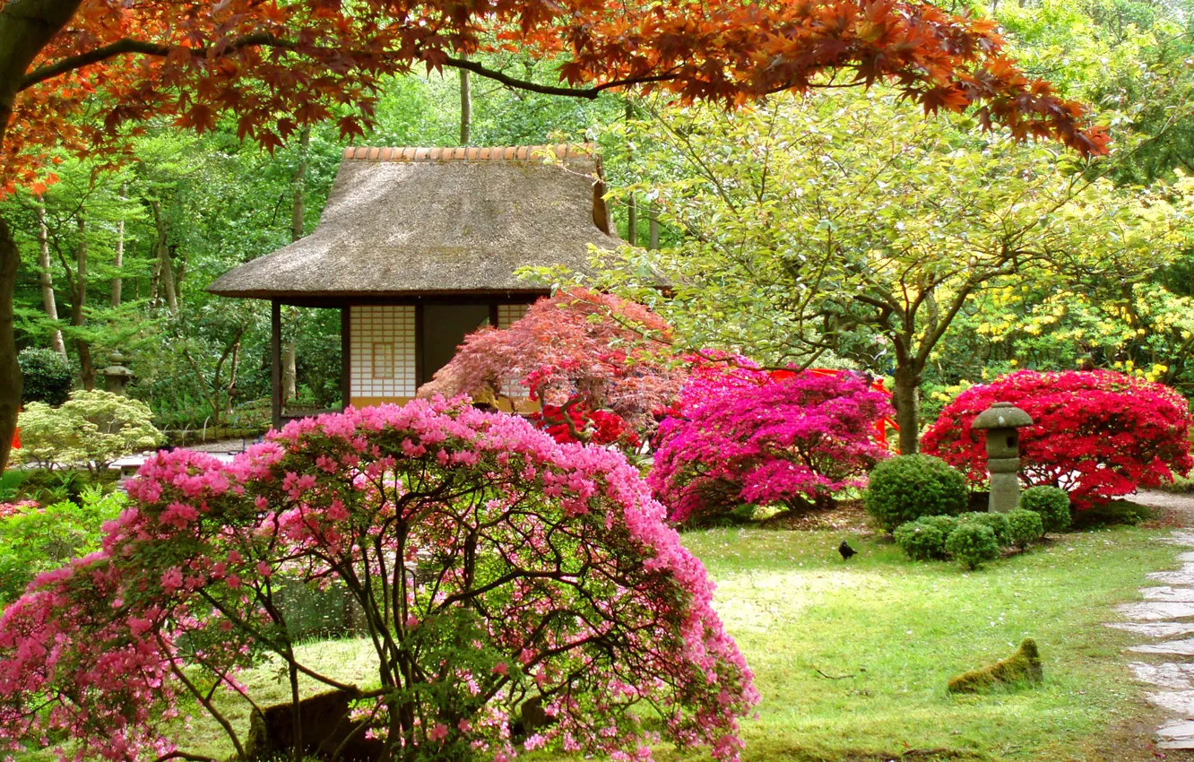 Photo wallpaper trees, landscape, flowers, house, Japanese garden