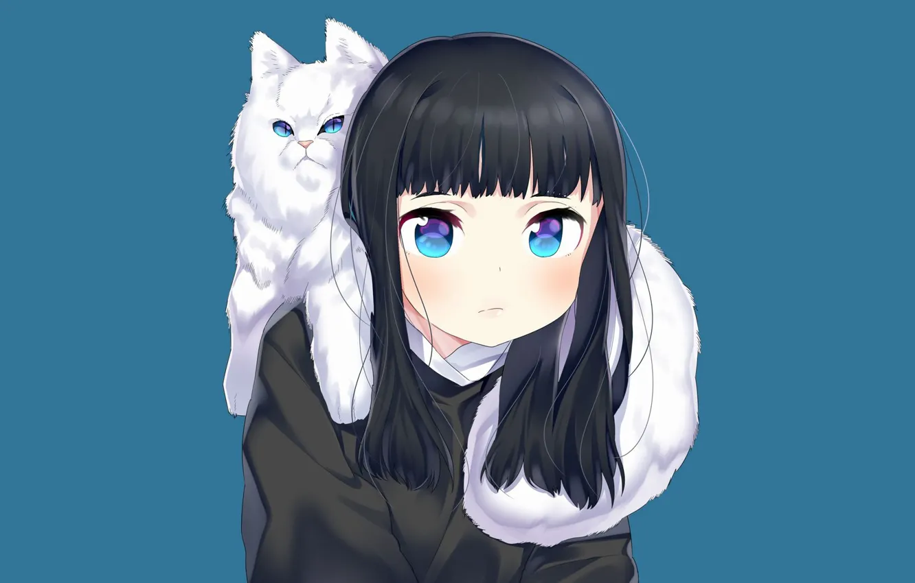 Photo wallpaper cat, cat, anime, art, girl, blue background
