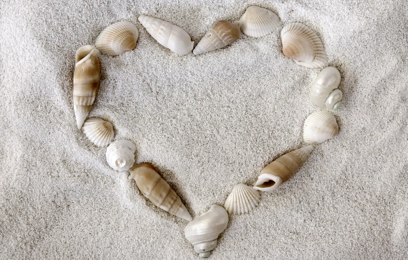 Photo wallpaper sand, summer, background, heart, shell