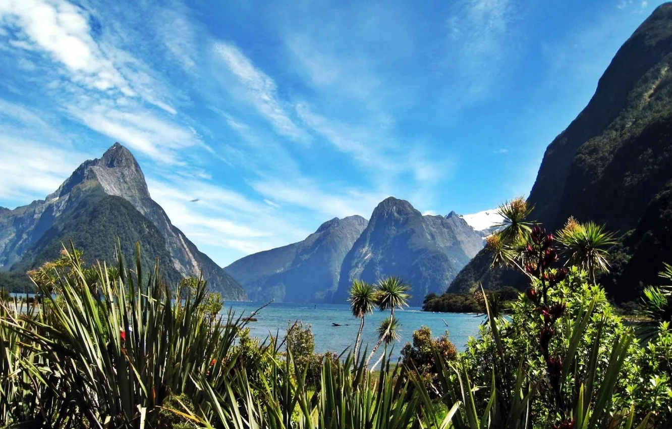 Photo wallpaper the sky, flowers, nature, lake, photo, field, Milford Sound