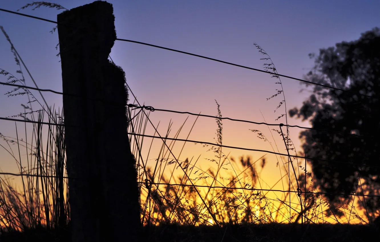 Photo wallpaper macro, sunset, nature, the fence, wire