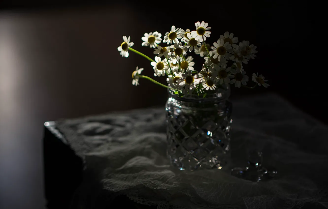 Photo wallpaper on the table, in the dark, a bouquet of daisies, in a vase