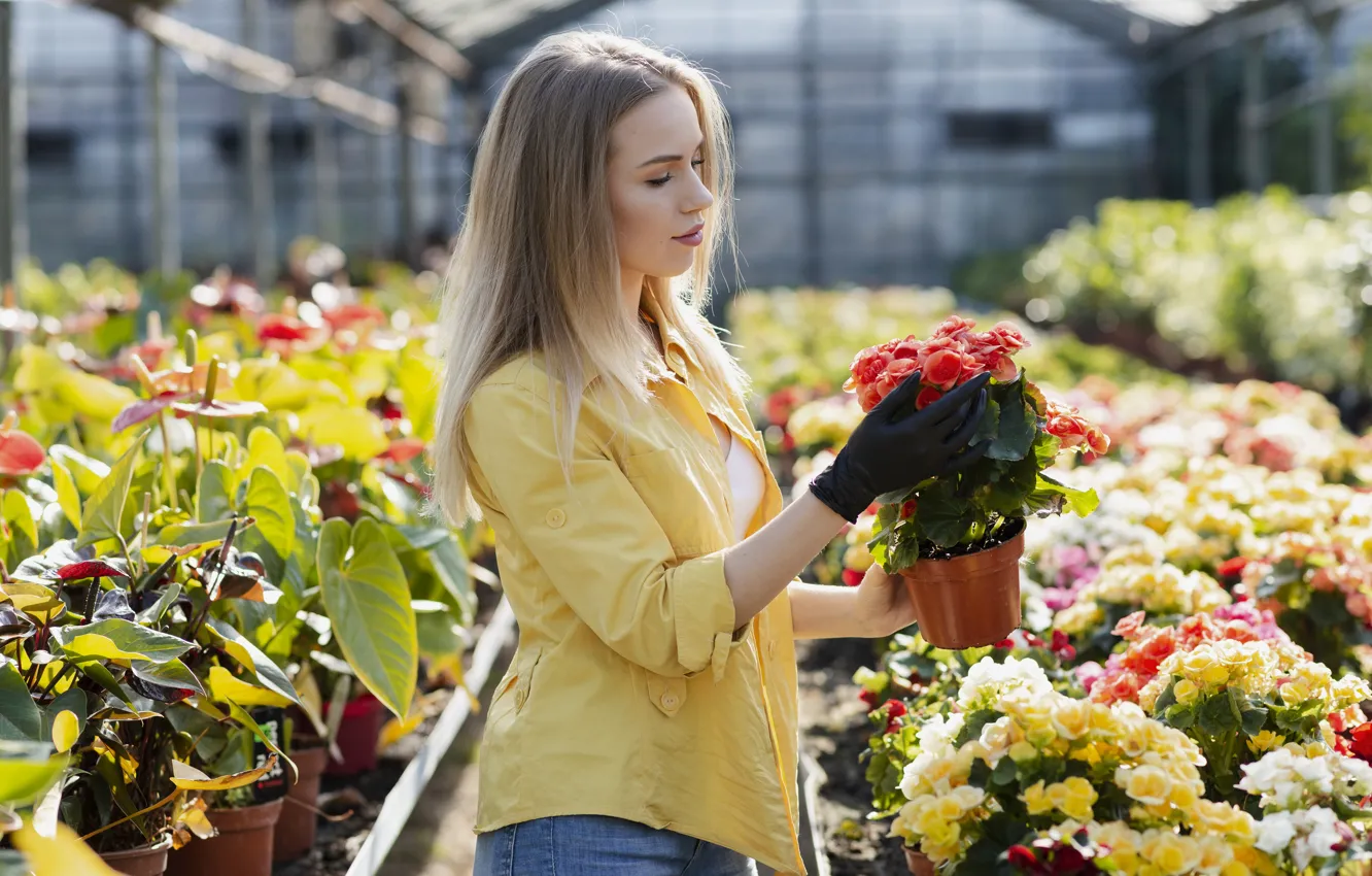 Photo wallpaper girl, flowers, greenhouse