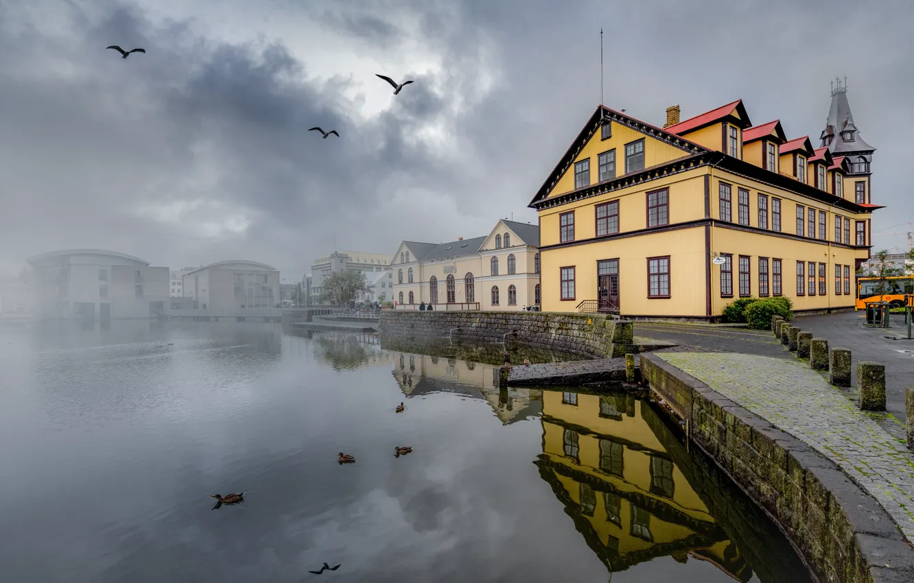 Photo wallpaper clouds, birds, fog, house, overcast, shore, building, seagulls