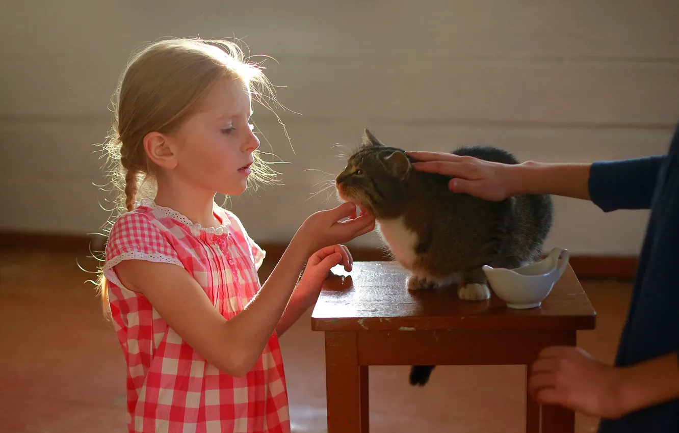 Photo wallpaper cat, cat, children, animal, girl, braids, stool, Postonen Ekaterina