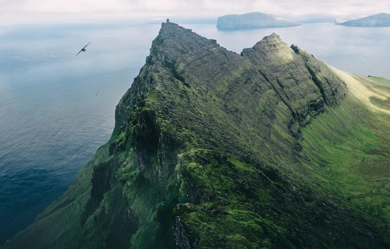 Photo wallpaper Islands, mountains, rocks, bird, Faroe Islands