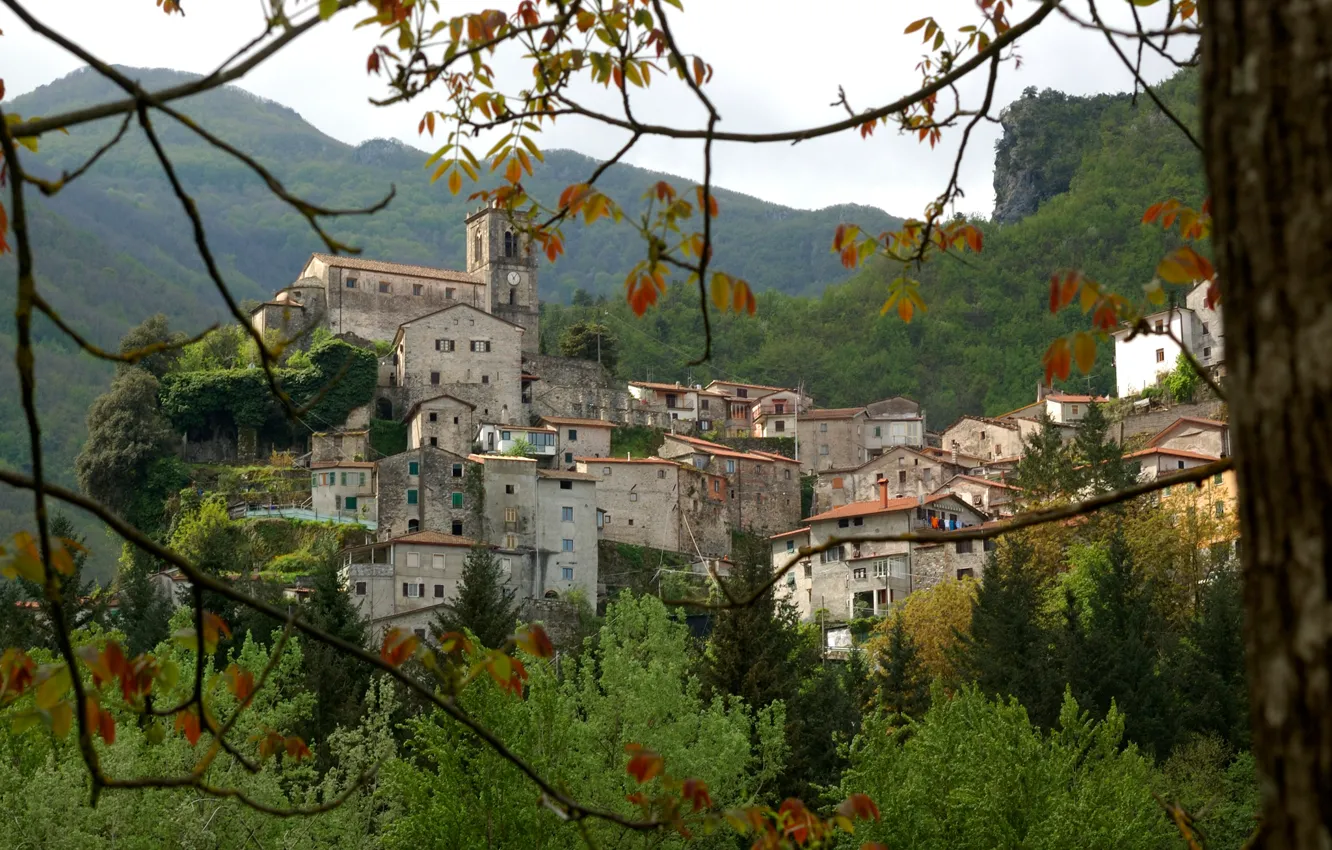 Photo wallpaper forest, trees, mountain, home, slope, Italy, town