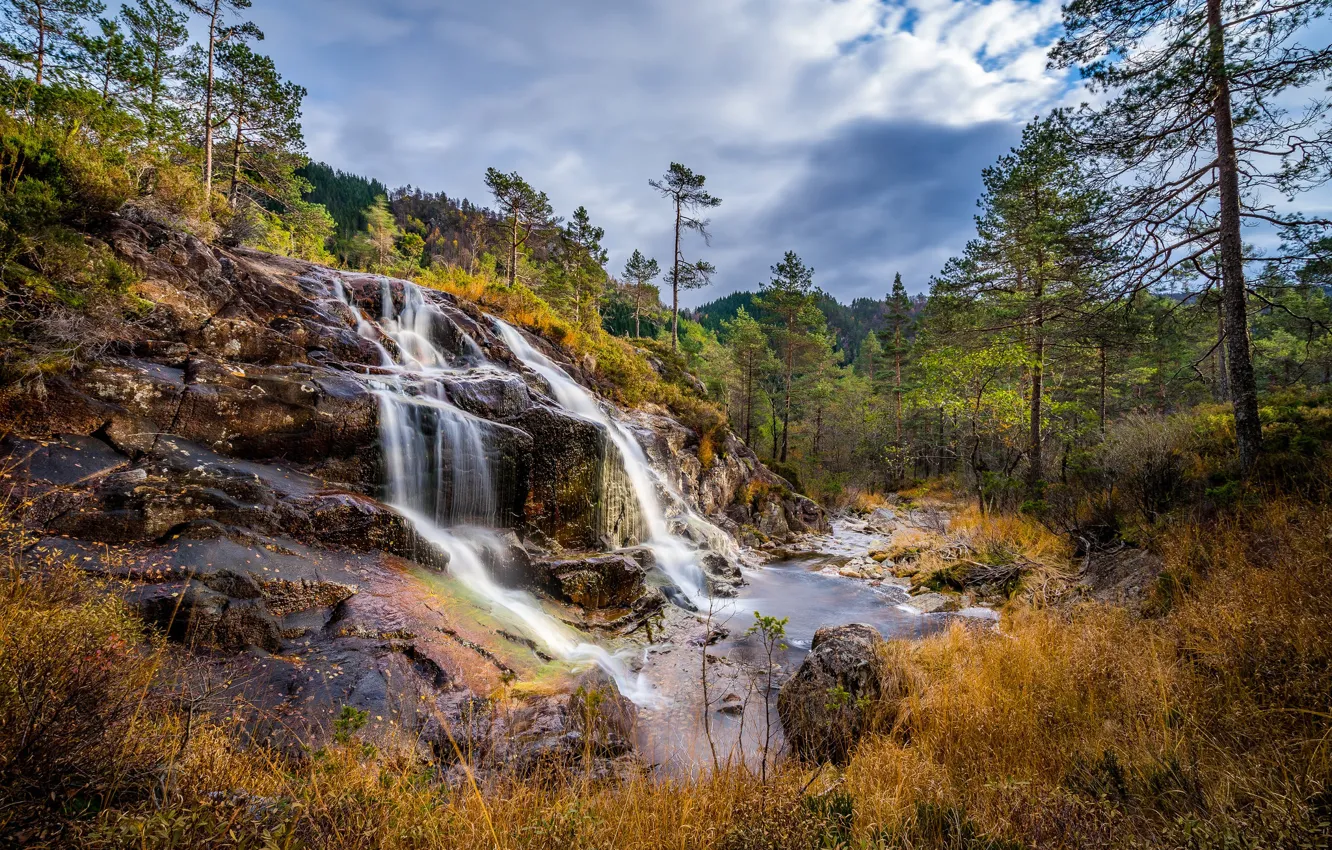 Photo wallpaper autumn, forest, trees, waterfall, Norway, cascade, Norway, Rogaland