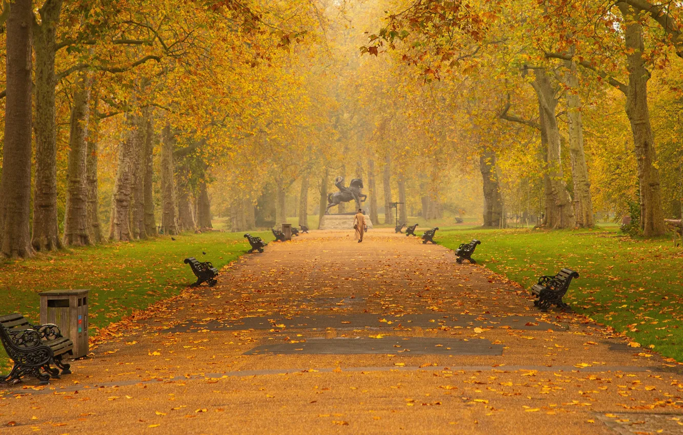 Photo wallpaper autumn, Park, woman, benches, coat, benches