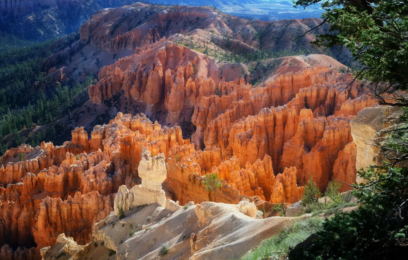 Photo wallpaper landscape, mountains, nature, rocks, Utah, USA, Bryce Canyon, forest