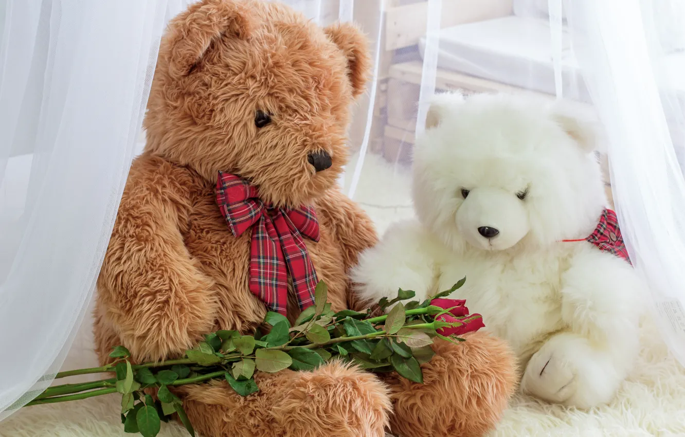 Photo wallpaper toy, roses, bear, bear, romantic, teddy, roses