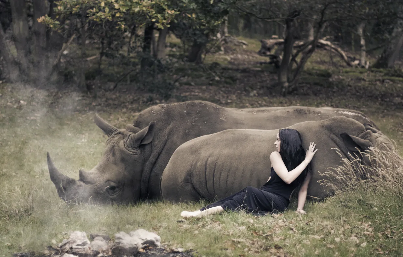 Photo wallpaper girl, the situation, Rhino