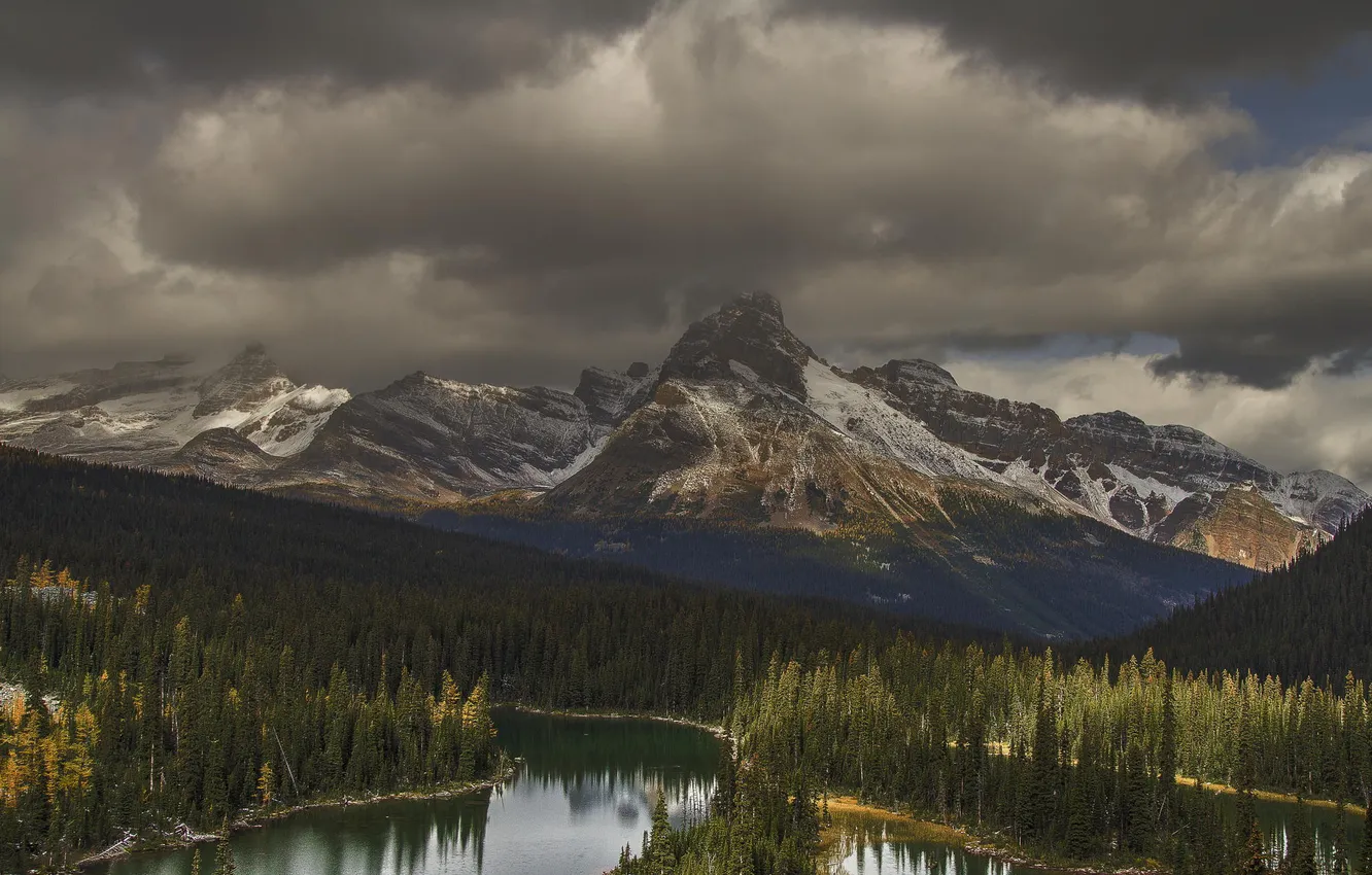 Photo wallpaper forest, landscape, mountains, clouds, nature, river