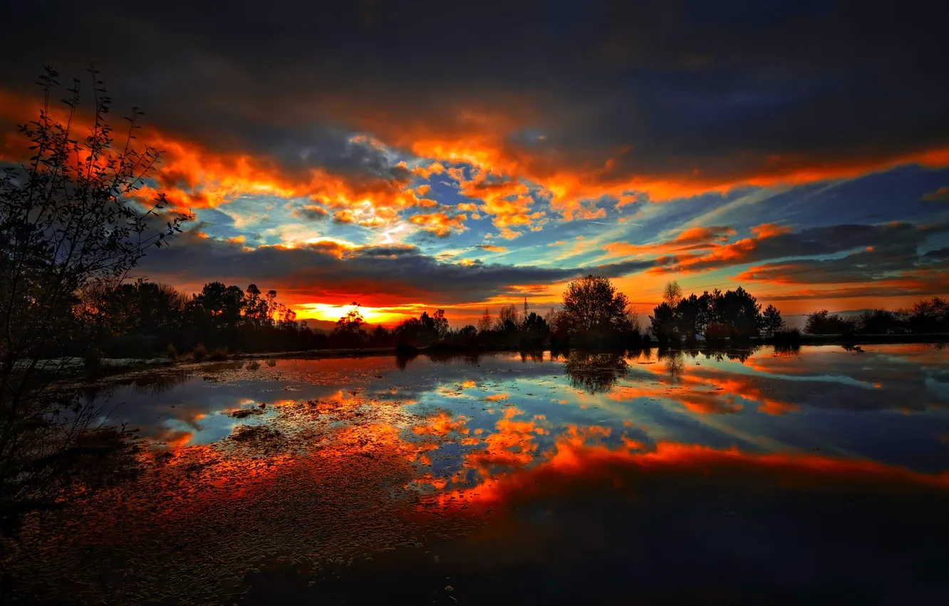 Photo wallpaper WATER, HORIZON, The SKY, CLOUDS, COLOR, REFLECTION, POND, SURFACE