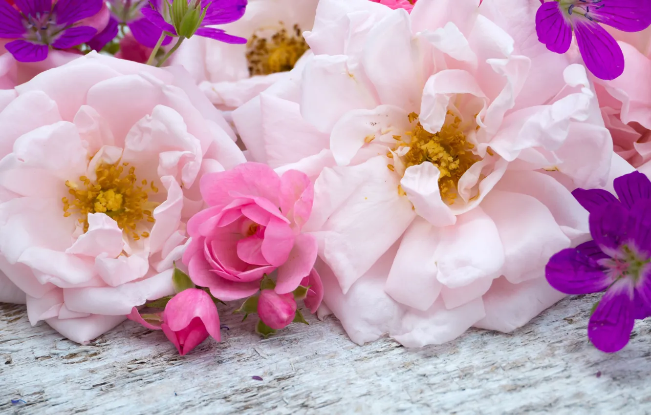 Photo wallpaper flowers, pink, buds, wood, pink, flowers, bud