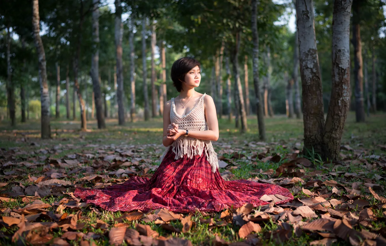 Photo wallpaper forest, leaves, calm, beauty, forest, leaves, beauty, tranquility